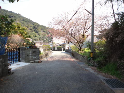 msXyn