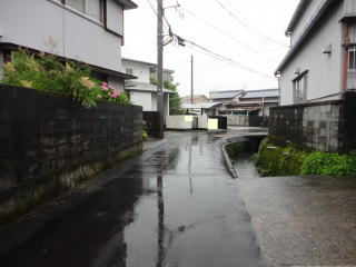 msRڔWZ
